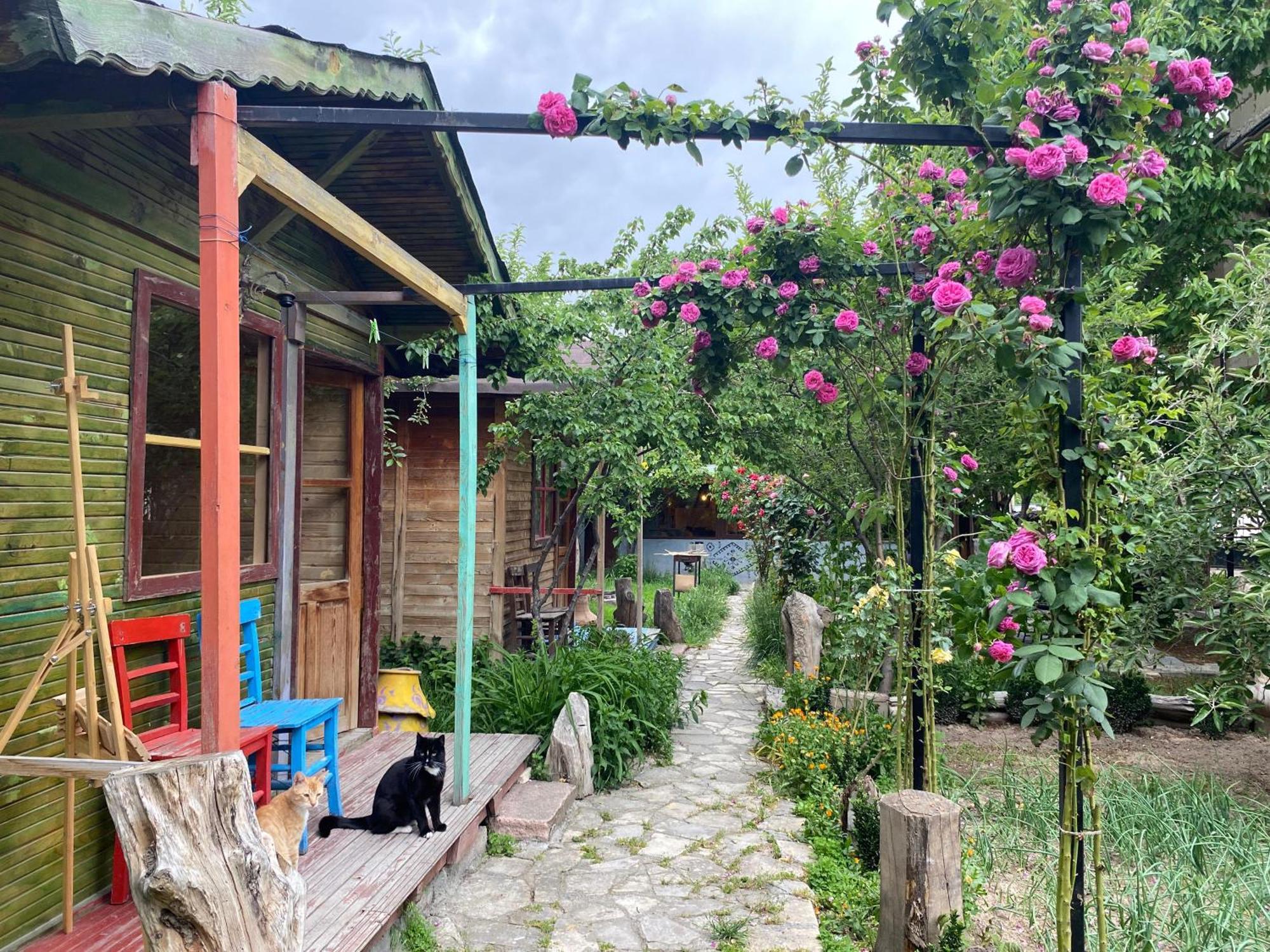 Philosophy Hotel Uchisar Exterior foto